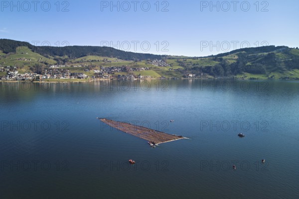 Forestry workers float a raft of felled tree trunks from the Bergmatt across the Ägerisee to the