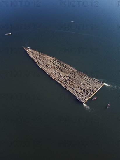 Forestry workers float a raft of felled tree trunks from the Bergmatt across the Ägerisee to the