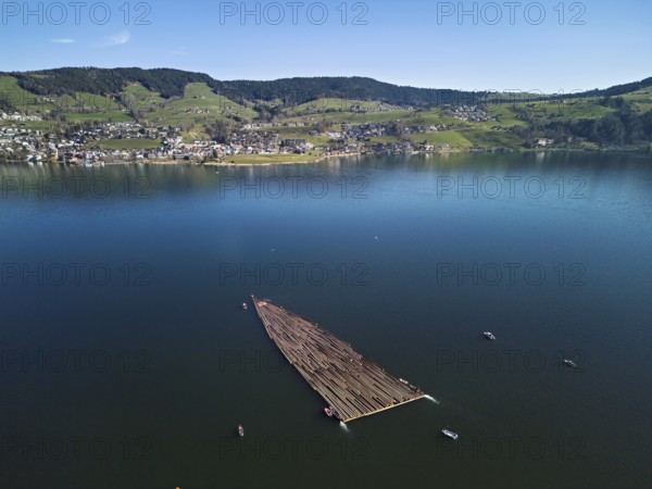 Forestry workers float a raft of felled tree trunks from the Bergmatt across the Ägerisee to the