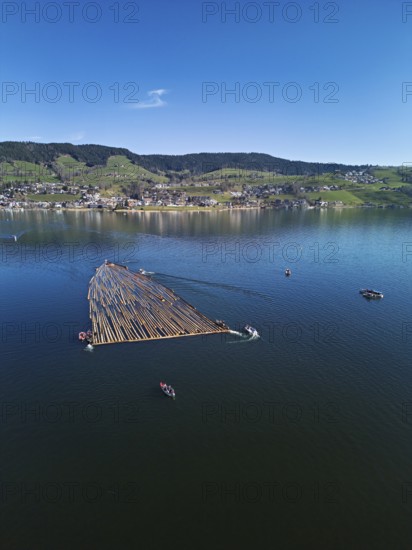 Forestry workers float a raft of felled tree trunks from the Bergmatt across the Ägerisee to the