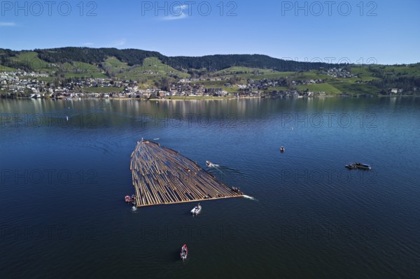 Forestry workers float a raft of felled tree trunks from the Bergmatt across the Ägerisee to the