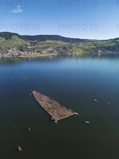 Forestry workers float a raft of felled tree trunks from the Bergmatt across the Ägerisee to the