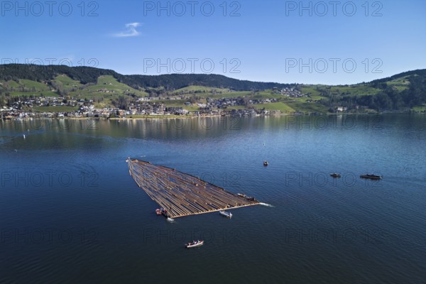 Forestry workers float a raft of felled tree trunks from the Bergmatt across the Ägerisee to the