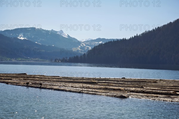 Forestry workers float a raft of felled tree trunks from the Bergmatt across the Ägerisee to the