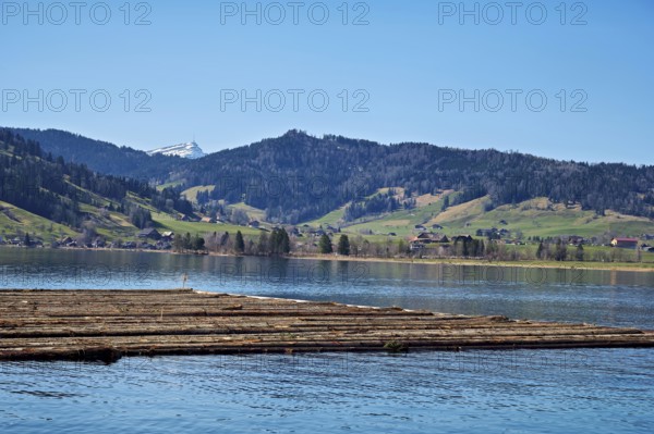 Forestry workers float a raft of felled tree trunks from the Bergmatt across the Ägerisee to the