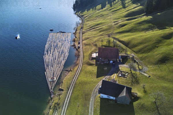 Forestry workers float a raft of felled tree trunks from the Bergmatt across the Ägerisee to the