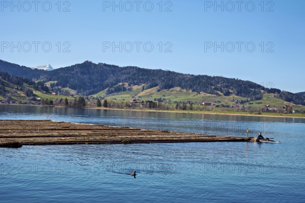 Forestry workers float a raft of felled tree trunks from the Bergmatt across the Ägerisee to the
