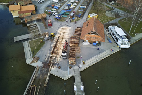 Raft of felled tree trunks at the landing stage where the trunks are pulled ashore and cut to size