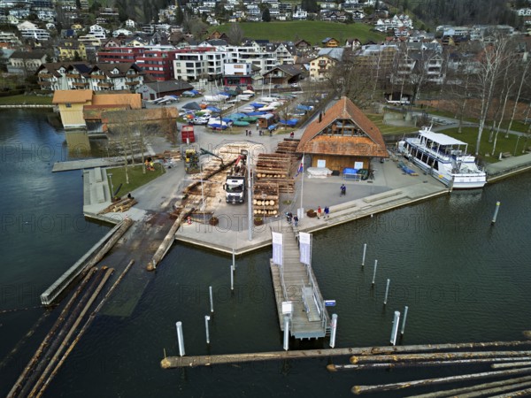Raft of felled tree trunks at the landing stage where the trunks are pulled ashore and cut to size