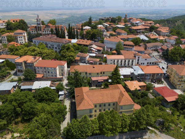 View of a hill town with traditional roofs and many trees in an extensive panorama, aerial view,
