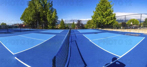 Four empty pickleball courts with blue surfaces and white lines are ready for players on a sunny