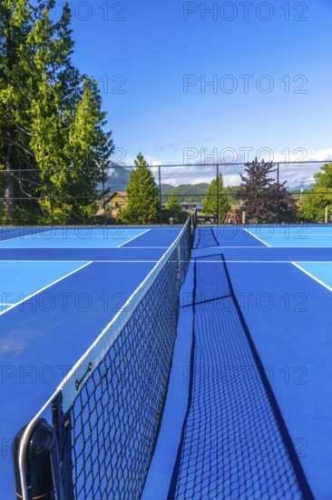 Empty pickleball court featuring a net casting shadows on the vibrant blue surface, basking in