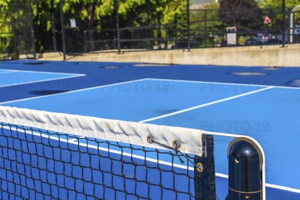 Pickleball net and an empty blue court await eager players on a bright sunny day, creating an