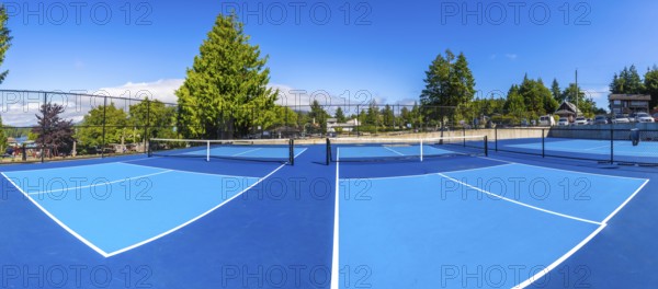 Two empty pickleball courts featuring blue surfaces and black nets are bathed in sunlight on a