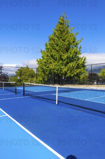 Pickleball court with blue surface and white lines, net, and metal fence basking in sunlight on a