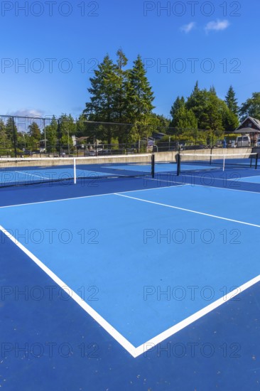 Empty outdoor pickleball courts feature a striking blue playing surface, white boundary lines, and