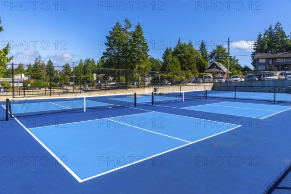 Four vibrant blue pickleball courts, featuring nets and white lines, sit empty under a clear blue