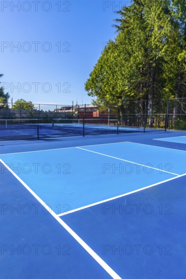 White lines marking vibrant blue pickleball courts create an inviting scene under a sunny sky,