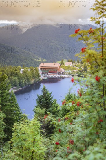 Picturesque view of a house on the lake surrounded by wooded mountains at dusk, Mummelsee, Seebach,
