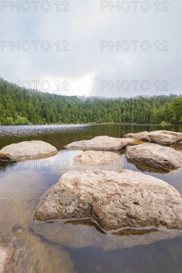 Rock formations in the lake with forest background and cloudy sky, Mummelsee, Seebach, Ortenau