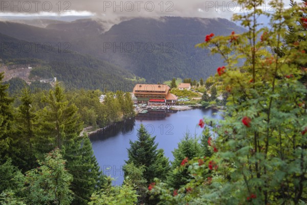 Picturesque view of a lake and wooded mountains with a hotel on the shore, flowers in the