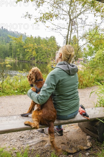 Woman with dog on a bench at the lake, surrounded by autumnal forest, Mummelsee, Seebach, Ortenau