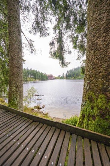 A wooden path along a lake, framed by two trees, Mummelsee, Seebach, Ortenau district, Black