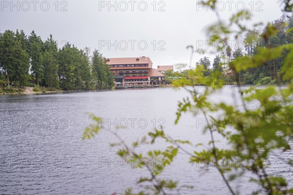 A building by the lake, slightly obscured by plants in the foreground, Mummelsee, Seebach, Ortenau