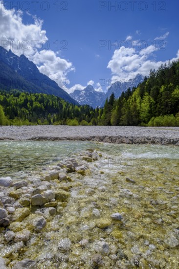 Pisnica stream at Jasna Lake in Triglav National Park, Kranjska Gora, Upper Carniola, Julian Alps,
