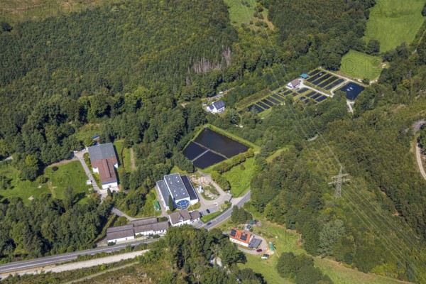 Aerial view, trout farm Versetal, power line, waterworks Treckinghausen and river Verse,