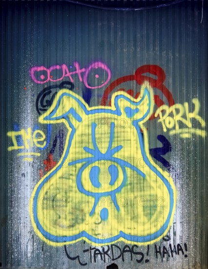 Graffiti as a pig's head on a shop gate in the old town centre of Girona, Cataluña, Gerona,
