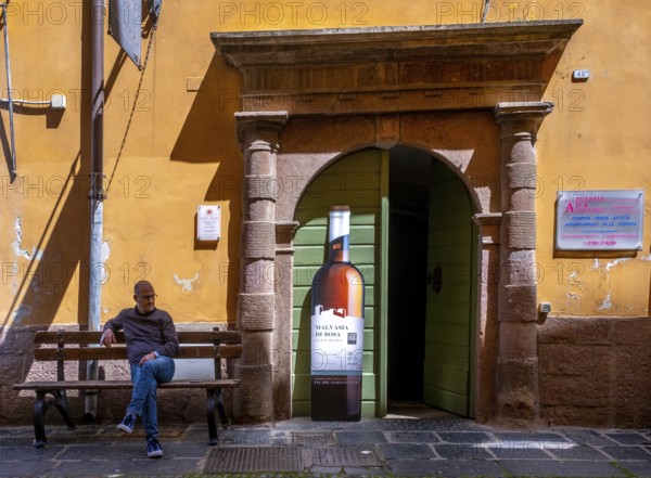 Sardinia, house with picturesque door and wine bottle poster, Bosa, Europe, Province of Oristano,