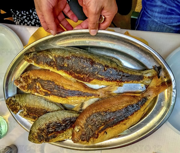 Sardinia, fish menu, fried fish served on a tray, Alghero, Europe, province of Sassari, Italy,