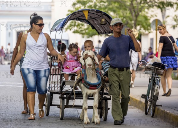 &lt, children's amusement, children's carriage pulled by a goat, streetlife in the city centre of