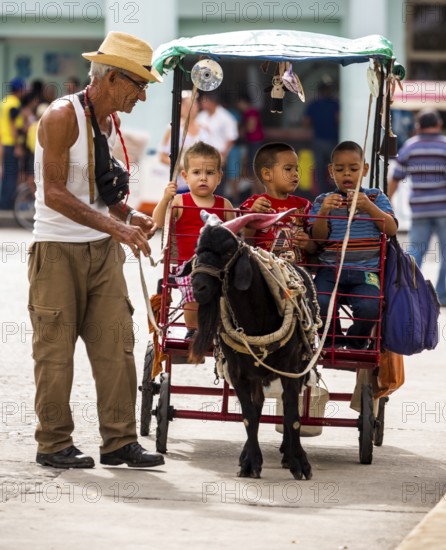 &lt, children's amusement, children's carriage pulled by a goat, streetlife in the city centre of