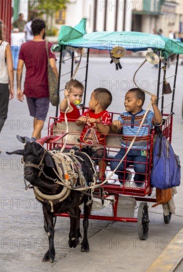 &lt, children's amusement, children's carriage pulled by a goat, streetlife in the city centre of