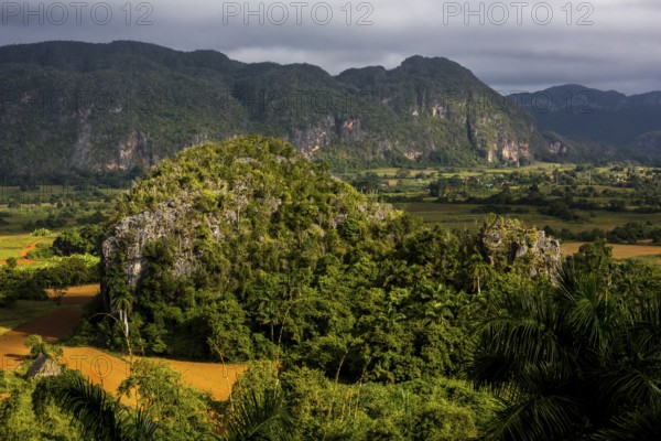 Tobacco fields and the mountains of the Mogotes, Viñales valley with karst mountains, Viñales,