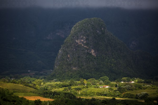 Tobacco fields and the mountains of the Mogotes, Viñales valley with karst mountains, Viñales,