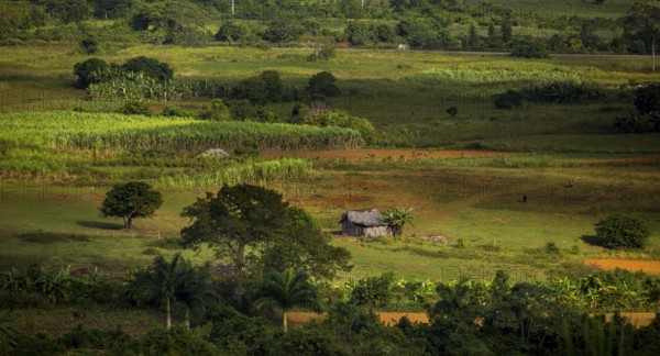 Farmhouse, farm cottage, barn for drying tobacco leaves, tobacco fields and the mountains of the