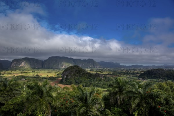 Tobacco fields and the mountains of the Mogotes, Viñales valley with karst mountains, Viñales,