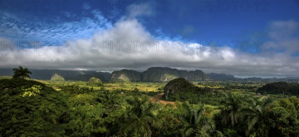 Tobacco fields and the mountains of the Mogotes, Viñales valley with karst mountains, Viñales,