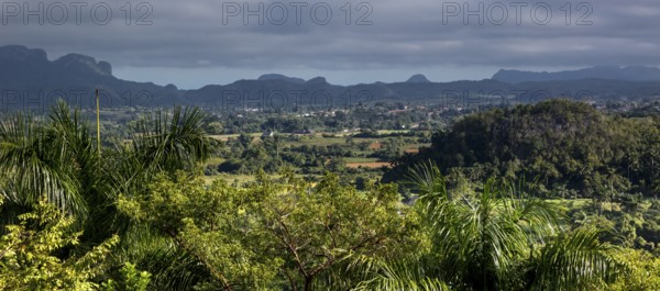 Tobacco fields and the mountains of the Mogotes, Viñales valley with karst mountains, Viñales,