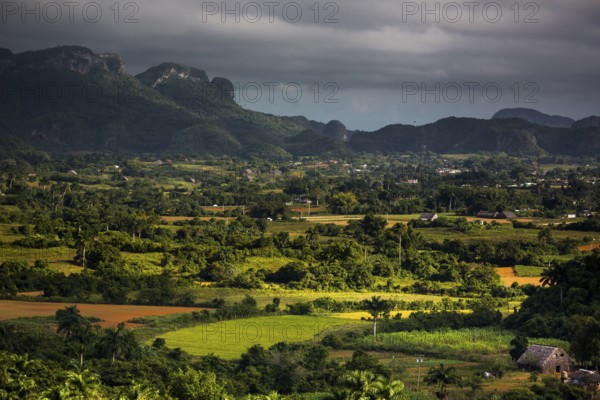 Tobacco fields and the mountains of the Mogotes, Viñales valley with karst mountains, Viñales,