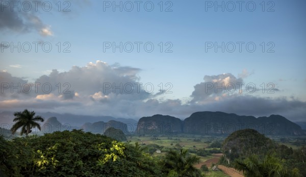 Tobacco fields and the mountains of the Mogotes, Viñales valley with karst mountains, Viñales,