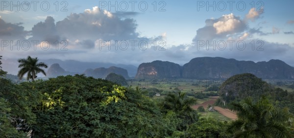 Tobacco fields and the mountains of the Mogotes, Viñales valley with karst mountains, Viñales,