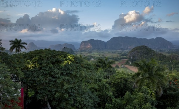 Tobacco fields and the mountains of the Mogotes, Viñales valley with karst mountains, Viñales,