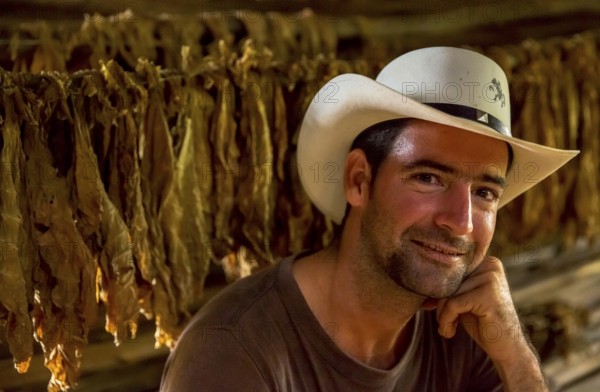 Tobacco farmer, tobacco farmer Luis Manne Alvares Rodrigues on his tobacco farm in the Vinales