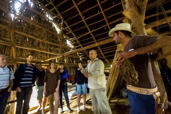 Tobacco farmer Luis Manne Alvares Rodrigues explains tobacco growing to a group of tourists, drying
