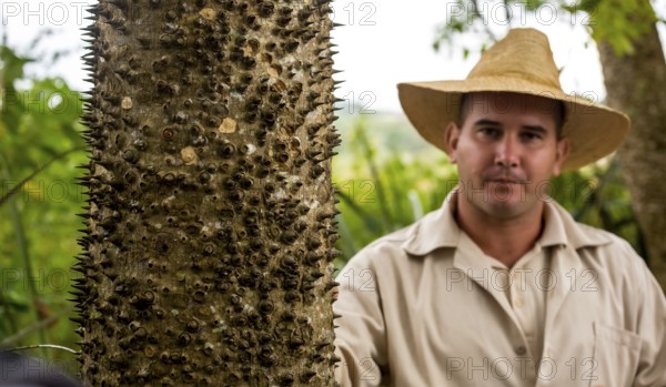Florett silk tree (Ceiba speciosa) with travel guide, Viñales, Cuba, Pinar del Río, Cuba, Viñales,