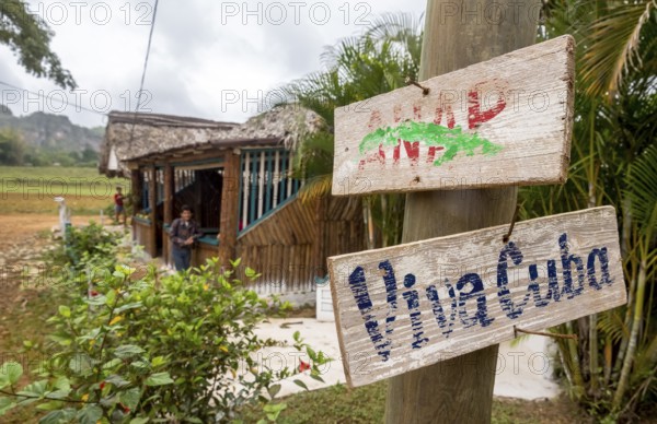Wooden sign with the inscription Viva Cuba on a telegraph pole, Viñales, Cuba, Pinar del Río, Cuba,